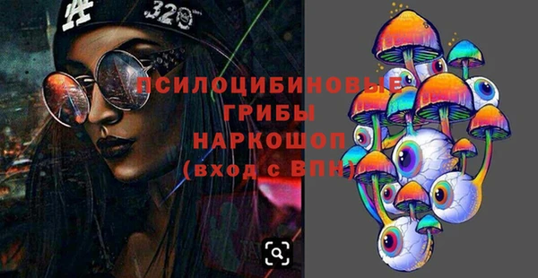 СК Нея