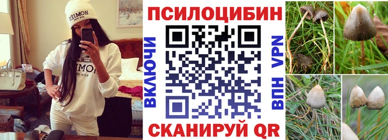 Галлюциногенные грибы Cubensis  Рудня 